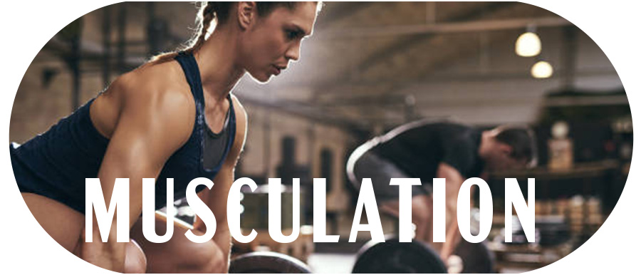Samba Boxe : Musculation